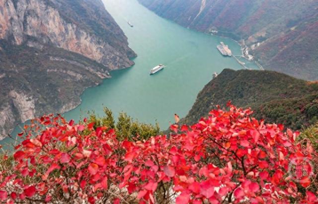 大地“披浓妆” 巫峡红叶进入最佳观赏期