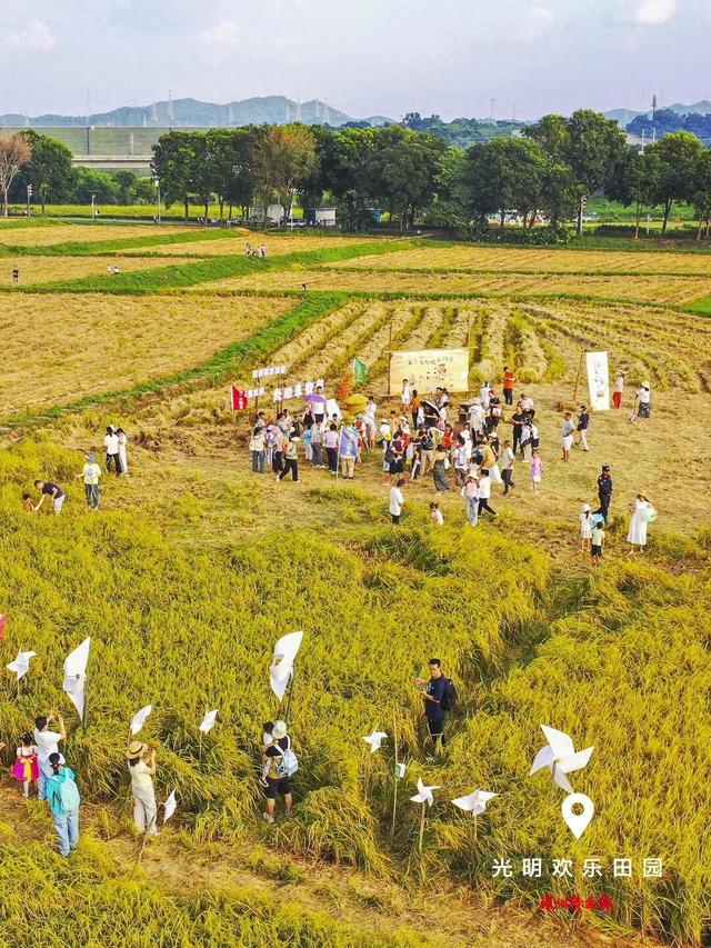 美丽深圳·每日一图｜2025年11月2日