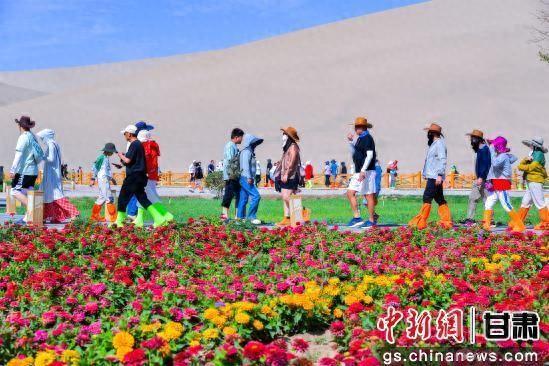 敦煌鸣沙山下花海斑斓