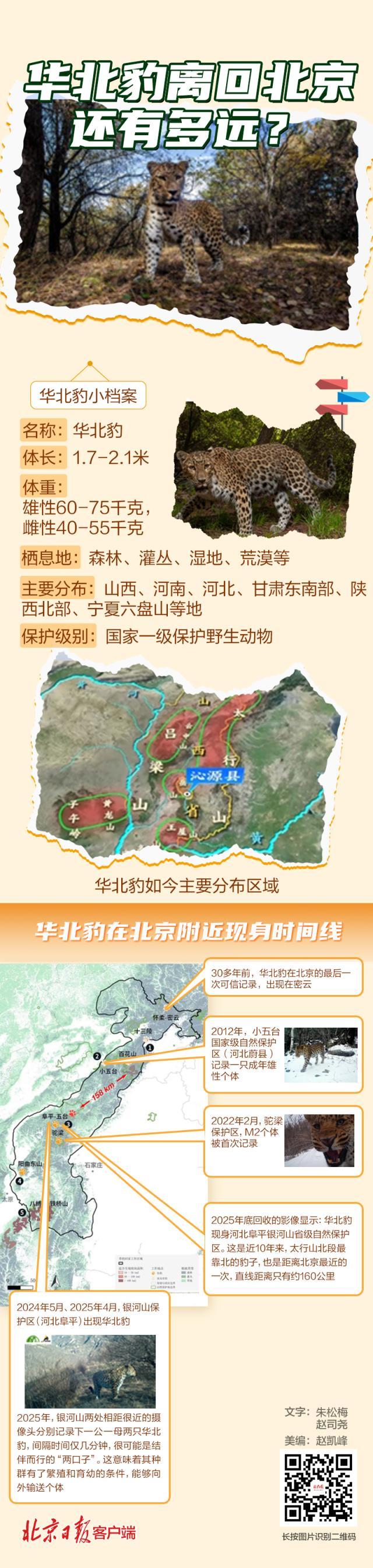 华北豹“回京之路”走到哪了？一图了解