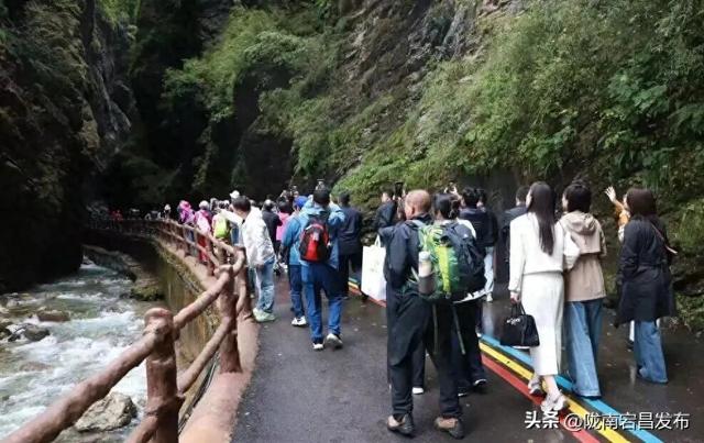 万里长征路•福地哈达铺 | 红色观摩团走进宕昌官鹅沟：赏山水画卷 悟红色初心