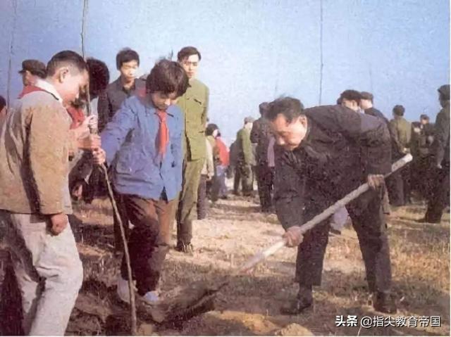 汉字茁组词（二下第四课邓小平爷爷植树知识梳理）