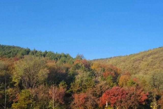 赏秋登高正当时！丰台这些好去处——