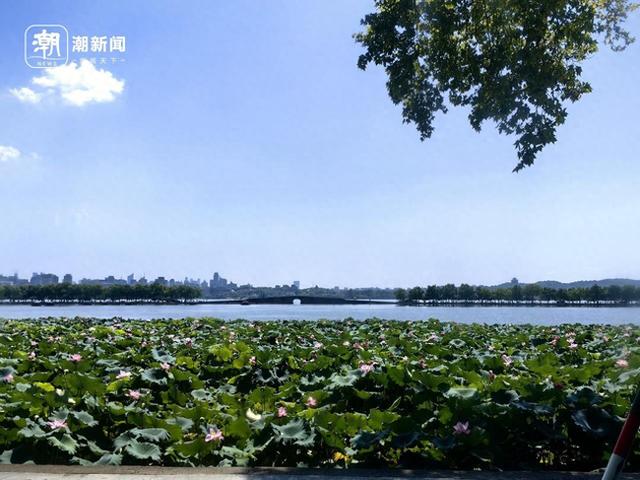 全空调、不费腿，被网友赞为游西湖的正确打开方式，你想试试嘛
