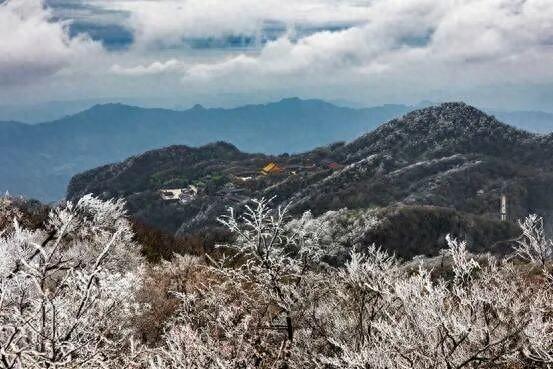 一眼心动！雾凇，山巅的“冰雪派对”