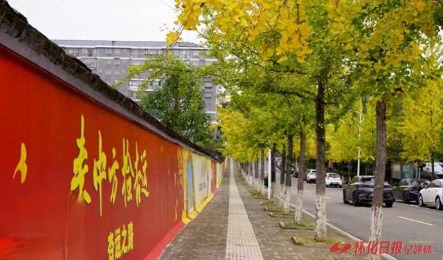 银杏树叶已黄！快来中方县银杏路感受小“杏”福