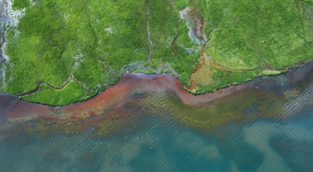 香格里拉国家公园候选区：冬韵如诗，静谧灵动