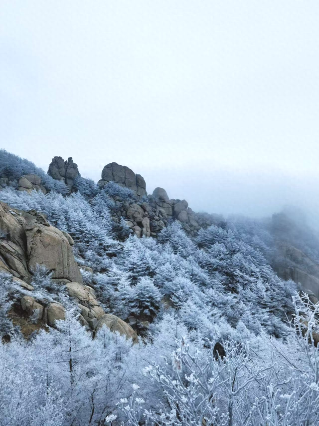 下雪啦！崂山“仙境体验卡”，限时开启