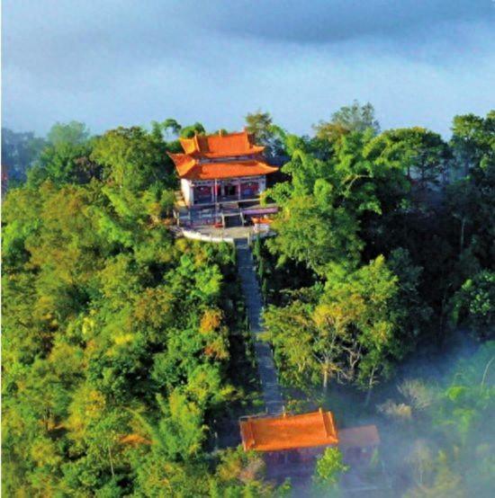 看云南如何“点绿成金”