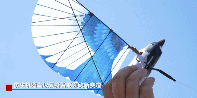 隐蔽性极强！未来战场看“鸟群”出击