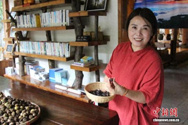 （走进中国乡村）浙江山村民宿“慢煮”时光焕新机