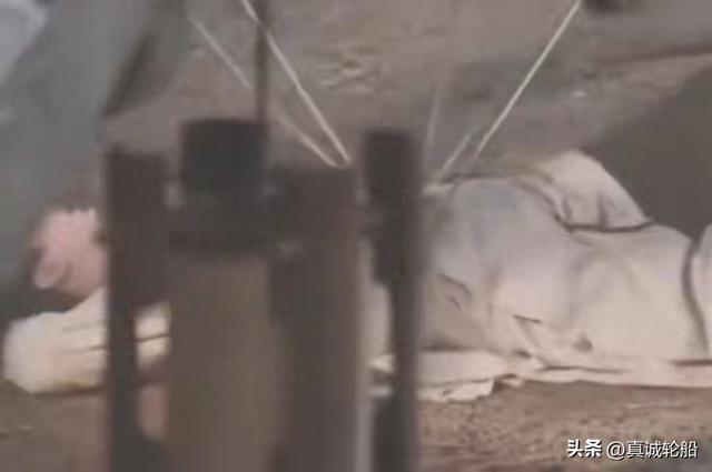 成毅坠地、Selina烧伤！别捧“零替身”，演员安全该有硬规矩