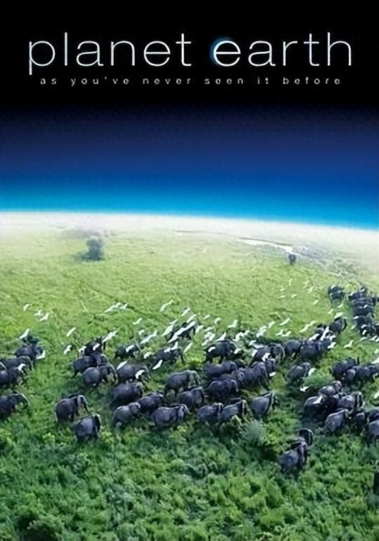 人为什么要旅行？这10部高分纪录片就是最好的回答