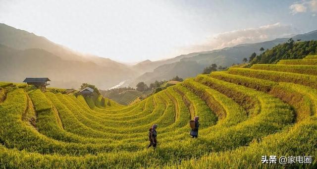 家电企业直卖用户，将会抢夺谁的商业蛋糕？