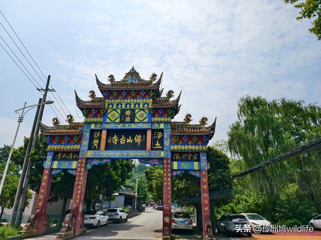 成都徒步（68）·彭州篇⑮佛山古寺&镇国寺宝塔