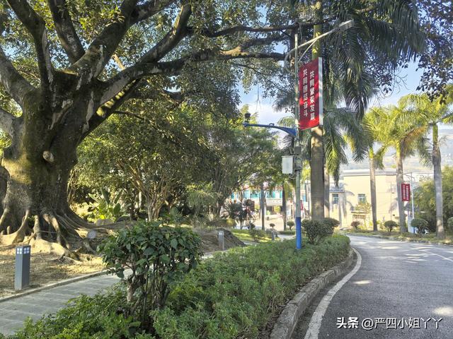 柯街黑温泉度假之旅，最后一个赶集日的烟火与日常