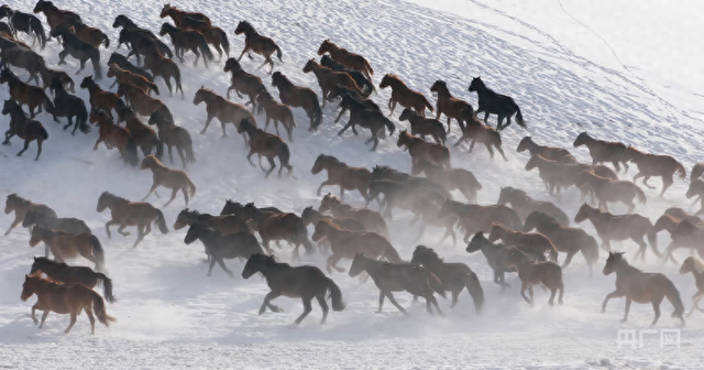 冰雪热浪涌天山：新疆“冷资源”燃动“热经济”