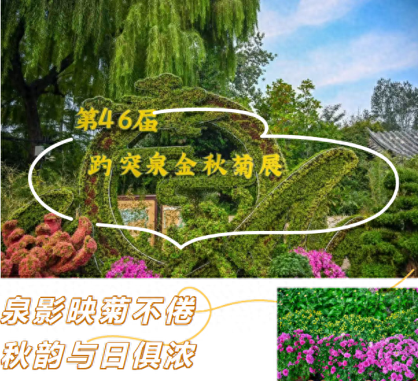 走，去趵突泉！收集秋天最靓的九宫格～