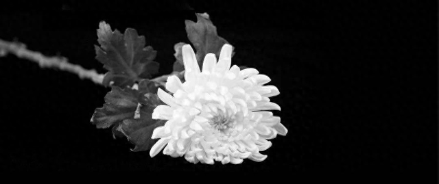 彭珮云同志逝世