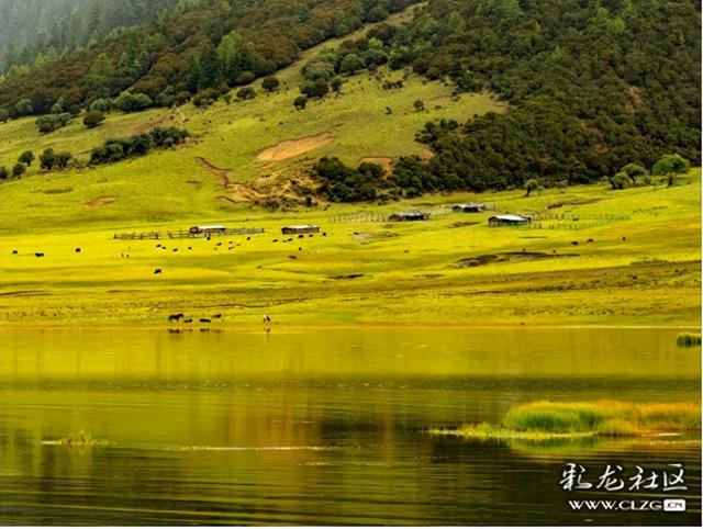 秋天的影像诗 普达措国家森林公园的秋天静谧安详，如诗如画