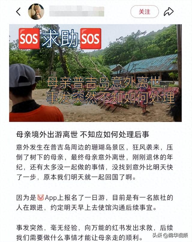 已证实！中国女游客被砸中去世，女儿发声：原计划次日回国，“刚退休的年纪，没想到意外快一步”