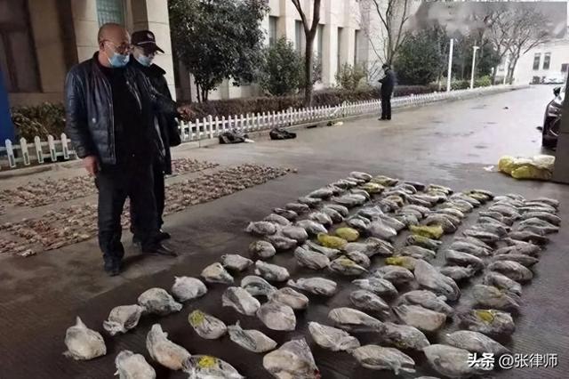 一只都不许抓！甘肃7人捕获40余只，自玩还出售，获刑2年罚21万