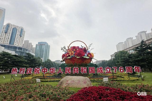 记者在现场丨五四广场主题花坛亮相，市民游客忙“打卡”