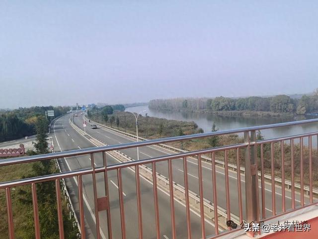 慧河湿地里的济宁新发现 || 胡成冮