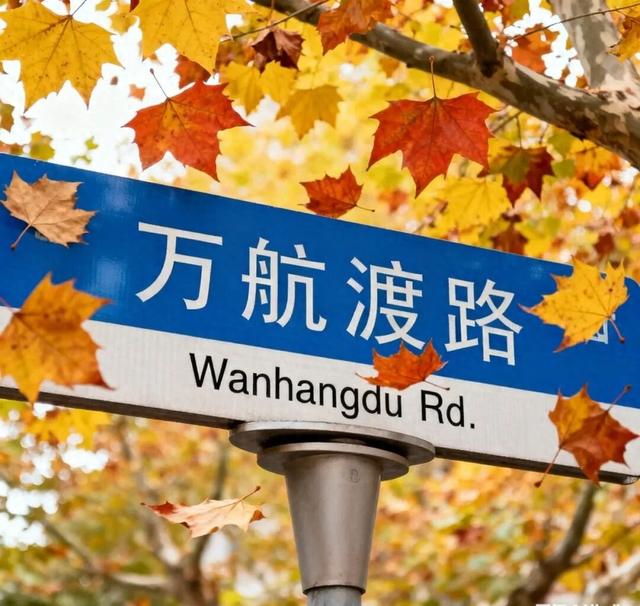 【宁品读】三易其名的万航渡路