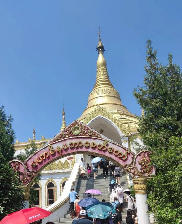 北京没料到，西安也没料到，如今的洛阳，怎么就成大家爱去的地方