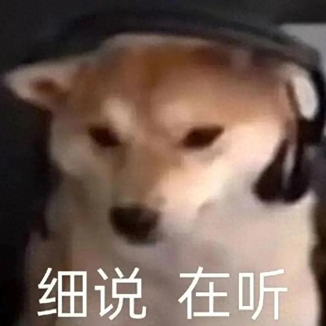 笑死了！每个骑电动车拿快递的铲屎官，都欠狗子一个道歉，哈哈~
