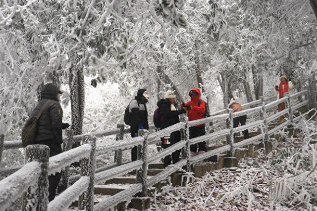 一场冰雪与烟火的邂逅