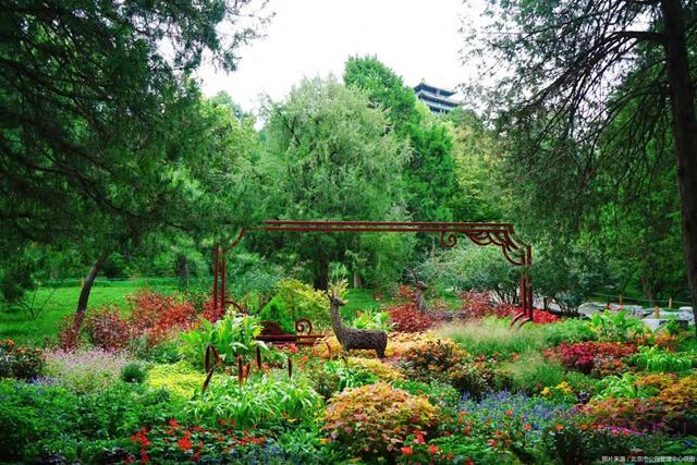 北京市属公园发布40余处小而美赏秋花境