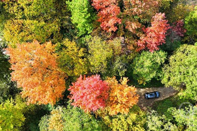 重庆酉阳冬日彩绘，五彩林海演绎别样浪漫