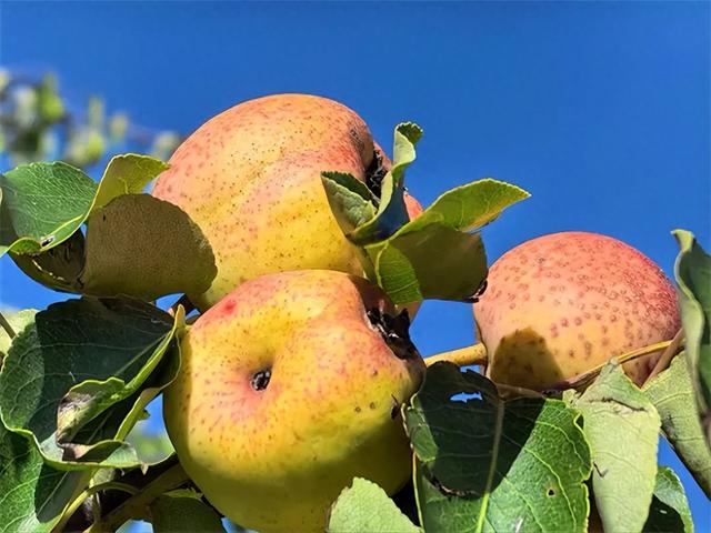 邂逅浪漫秘境 拥抱灵气氧吧