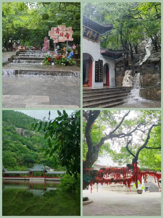 雨洗青檀，仙境初现！这场限定美景，只为你邂逅！