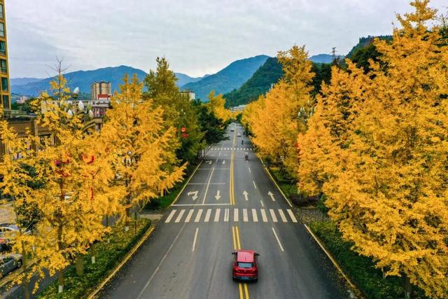 免费！免费！免费！“双节”就到乐山这里来