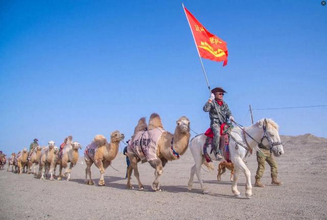 穿越古老的阳关古道，“东天山来的骆驼队”如今走到哪儿了？