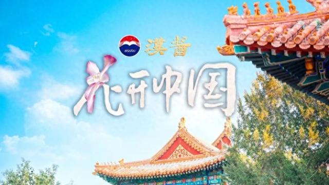 《花开中国》北京篇（上）：岁寒菊香 满城芳华