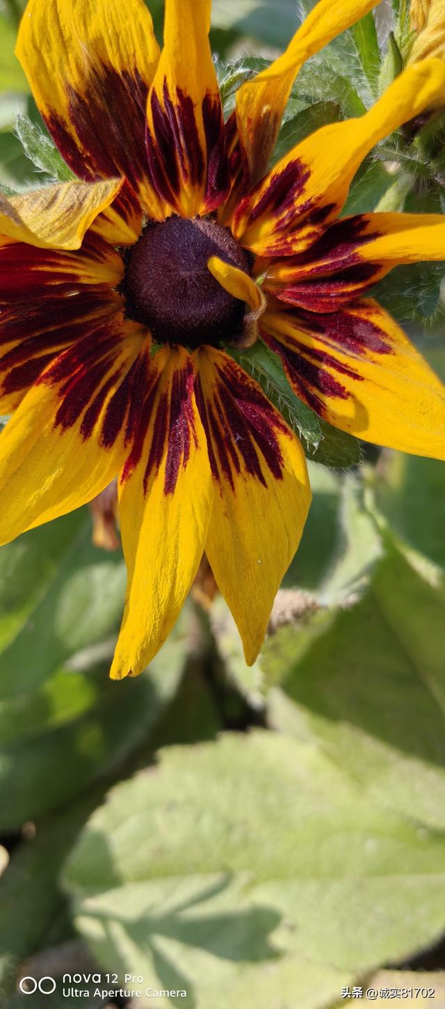 人怕欺骗，情怕伤，人心最害怕是欺骗