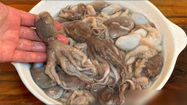 新鲜八带怎么保存（姑娘秘制八爪鱼）