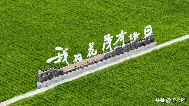 遵义市播州区：点燃高质量发展“引擎” 旅游产业开启全新篇章