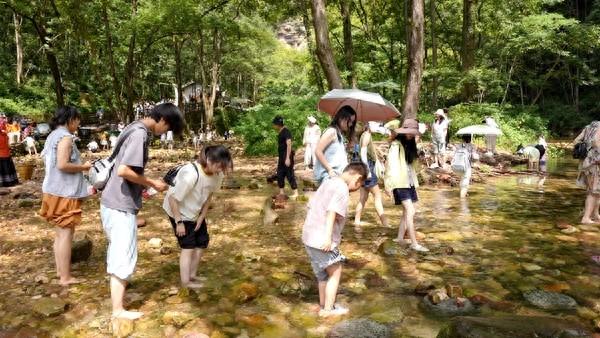 武陵源亲子游升温：山水间解锁“遛娃”新体验