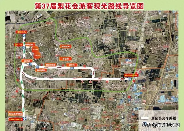 第三十七届阳信梨花会游客免费乘车攻略