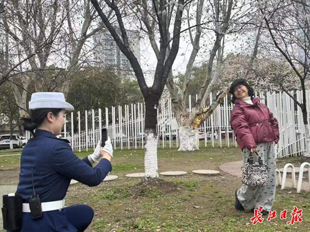 市区融媒联动看全国两会①：约你春天赏樱花