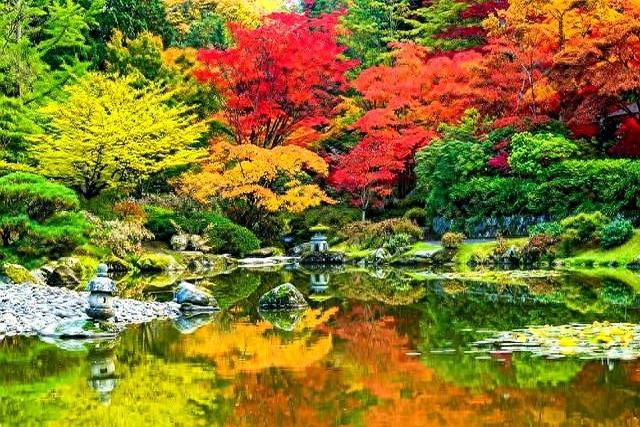 秋天的颜色有哪些颜色（你那里的秋天是什么颜色这6种色彩）