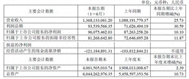 凌云光：营收增长 25.73%，战略聚焦 AI + 视觉成效显著
