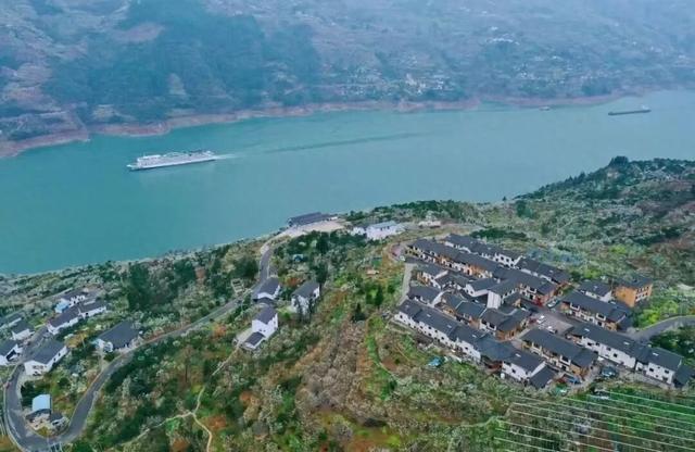 巫山帮扶故事：让 “诗和远方” 落地生根