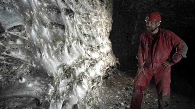 迄今世界第一大蛛网：106平米，11万只蜘蛛的家