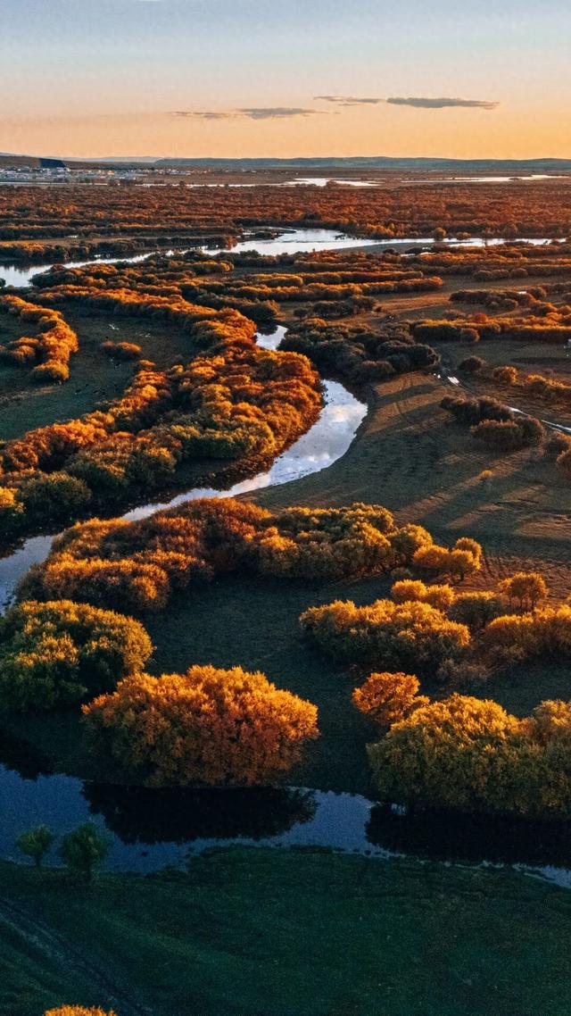 欢迎来到，秋天的廊道